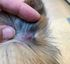 さっちゃん病院。