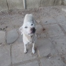 土曜日の朝のお散歩