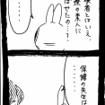 スズメバチに刺された話35