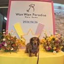わんこと誕生したばかりの『わんわんパラダイス奈良生駒』が最高だった！愛犬と過ごす至福のひととき