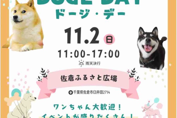 【kabochan様ご予約】 🍀 KADOKAWA 公式オンラインショップの カドストから かぼす