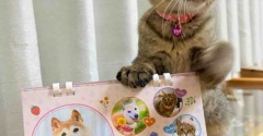 2027年もかぼちゃんと一緒に♡ カレンダー発売のお知らせ
