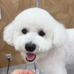 山形県 ペットショップ ワンラブ イオンモール三川店のスタッフブログ