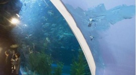 【韓国】第2ロッテワールドの水族館で漏水発覚 → 「よくあることで問題なし」と安全性をアピール