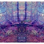 ワイ長距離トラック運転手、とうとう幻覚を見ながら運転しはじめた結果・・・