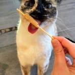 だぶるでじっと