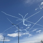 チャリノボ日記