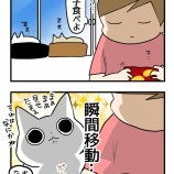 猫あるある！