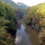 『定山渓の紅葉』の画像