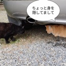 掃除機はどうなったかの続き