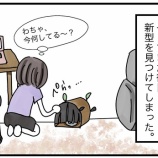 『わさびがする独特な寝方がかわいい！！！』の画像