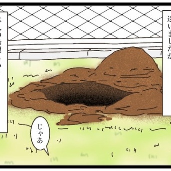 茶トラとのお別れ⑧【NNNにロックオンされています】