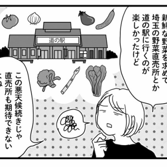 いいかげんに晴れてほしい🌞