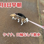 ガオだらけな日々　