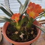 幸せを生む住まい　ひでさんブログ