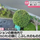 熊本市のマンション敷地内で落下物が男性に直撃し重傷 → 高層階から小学生が投げた泥団子だった