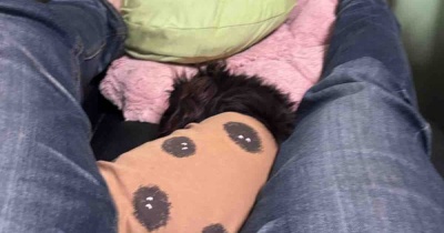 似たような画像ばかりでごめんなさい。
