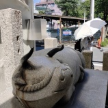 『名古屋市、大須商店街』の画像