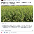 外国に買われた日本の農地　昨年だけでも東京ドーム37個分　前年の2倍　中国が最多　日本の農地は今後も大丈夫なのだろうか