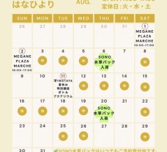 SONO水草パック販売速報！(2026年8月20日～：福岡市 はなひより様)