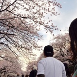 『何もする気にならない』の画像