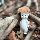 ＃アミガサタケ2026プレオープン　＃キクラゲウハウハふぇすたぼー2026