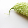 ハマった夏野菜