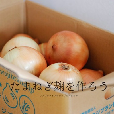 シンプルライフさん専用 Amazon | ナカバヤシ ライフスタイルツール （LIFESTYLE TOOL