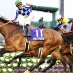 BOSS猿のアナログ肉眼競馬