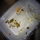 Uber配達員俺氏、無事商品を全損