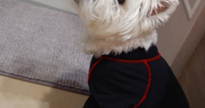 お風呂に自らはいる時