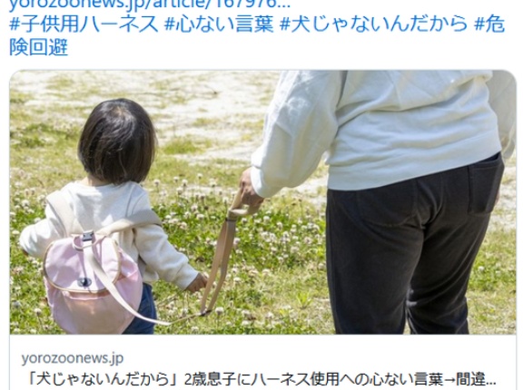 「犬じゃないんだから」2歳息子にハーネス使用への心ない言葉→間違っている？【専門家に聞いた】