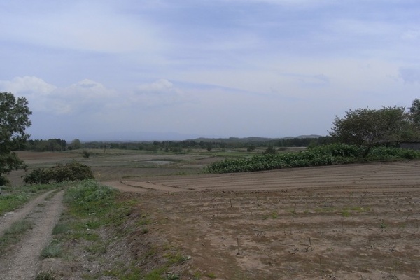 空白つれづれ草 旧陸軍第八師団