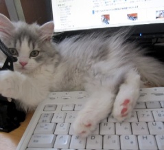 伊代ちゃんと同じ16歳になったケイちゃん