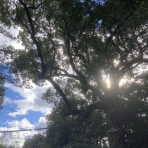  松阪市議会議員    海住恒幸 ブログ