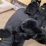 open_heart_shinkoのblog