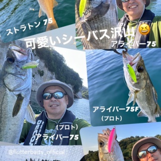 フラッター日誌