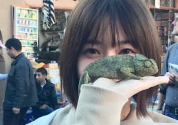 【乃木坂46】西野七瀬、カメレオンと遭遇し俄然テンションが上がるwww