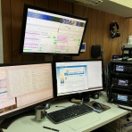 向島ポンポコ日記