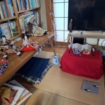 open_heart_shinkoのblog