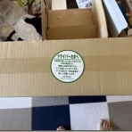 趣味と食べ歩きで毎日が自転車操業！