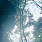 おひとりさま→高齢シンママの徒然