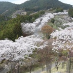 スノ・ブロ２…2019/06/04 Re:Start!!