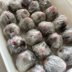 聖隷訪問看護ステーション千本＆看護小規模多機能型居宅介護事業所せいれい緑町