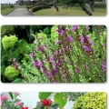 お墓参りと航空記念公園