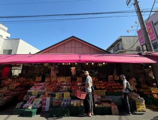 パドロンにカリフローレに土佐甘とう。かの有名なアキダイに初めて行ってみたけど、これは楽しい。