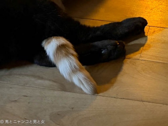 夜中に何を