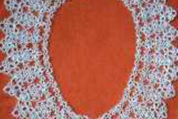 Bhairavi イベント情報 タティングレース