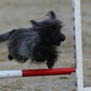 順番に編集してます　５８