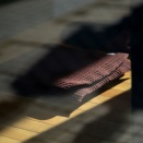 冬光に浮かぶオブジェ